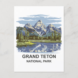 Grand Teton National Park Landscape  Postcard