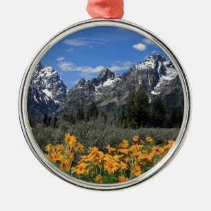 Grand Teton National Park Metal Ornament