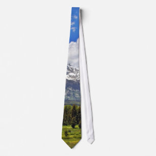 Grand Teton National Park. Tie