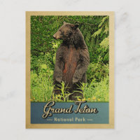 Grand Teton National Park Vintage Bear
