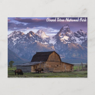 Grand Teton National Park Wyoming Mountains Barn Postcard