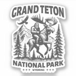 Grand Teton National Park Wyoming Outdoor Nature