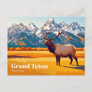 Grand Teton National Park Wyoming Postcard