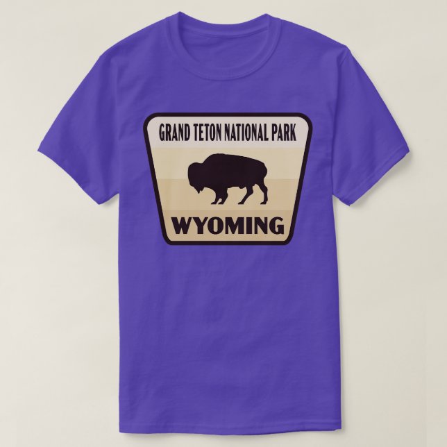 Grand Teton National Park Wyoming Retro Buffalo Ba T-Shirt (Design Front)