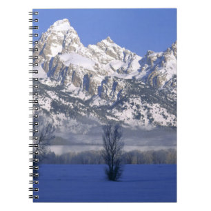 GRAND TETON NATIONAL PARK, WYOMING. USA. Fog & Notebook