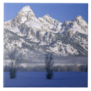 GRAND TETON NATIONAL PARK, WYOMING. USA. Fog & Tile