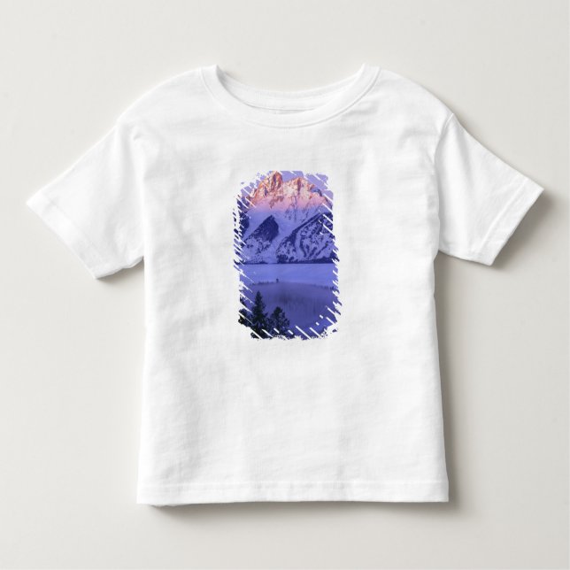 GRAND TETON NATIONAL PARK, WYOMING. USA. Fog & Toddler T-Shirt (Front)