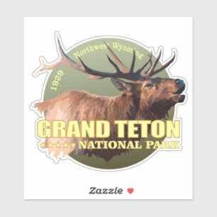 Grand Teton NP (elk)