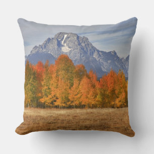 Grand Teton NP, Mount Moran and aspen trees Cushion