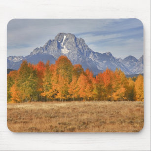 Grand Teton NP, Mount Moran and aspen trees Mouse Pad
