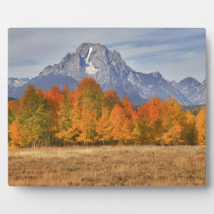 Grand Teton NP, Mount Moran and aspen trees Plaque