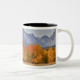 Grand Teton NP, Mount Moran and aspen trees Two-Tone Coffee Mug