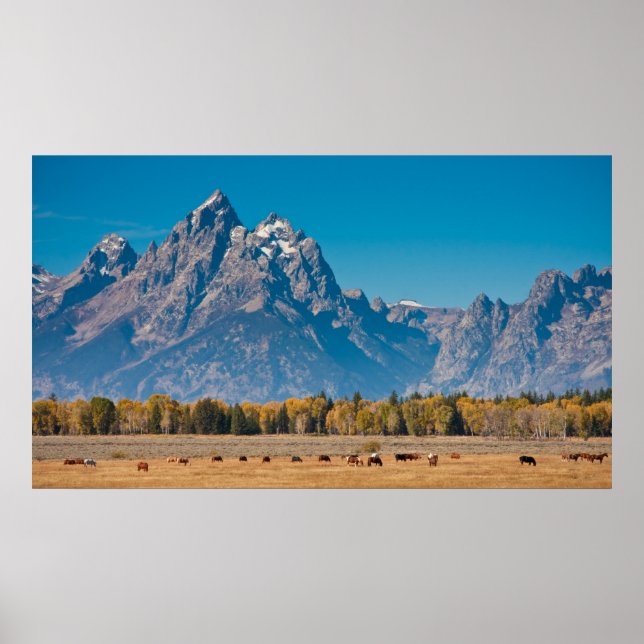 Grand Teton Poster (Front)