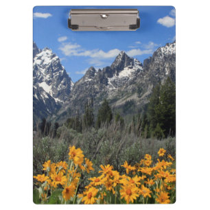 Grand Teton Springtime Souvenir Photo Clipboard