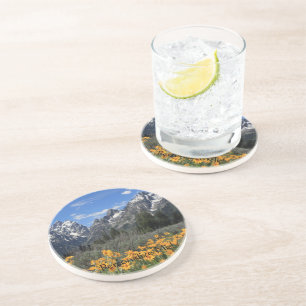 Grand Teton Springtime Souvenir Photo Coaster