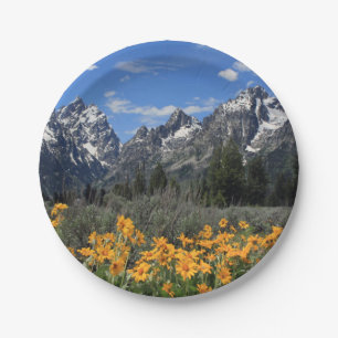 Grand Teton Springtime Souvenir Photo Paper Plate