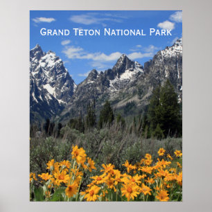 Grand Teton Springtime Souvenir Photo Poster
