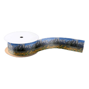 Grand Teton Springtime Souvenir Photo Satin Ribbon