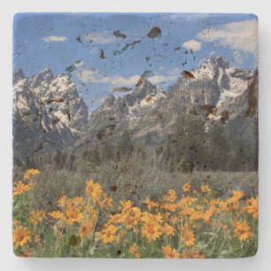 Grand Teton Springtime Souvenir Photo Stone Coaster