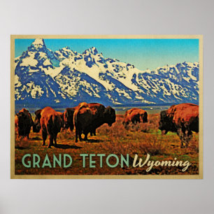 Grand Teton Wyoming Buffalo Poster