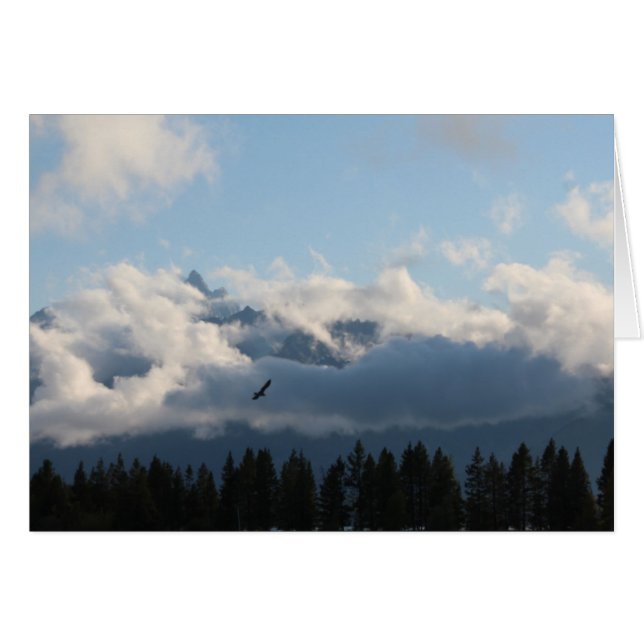 Grand Tetons and hawk (Front Horizontal)