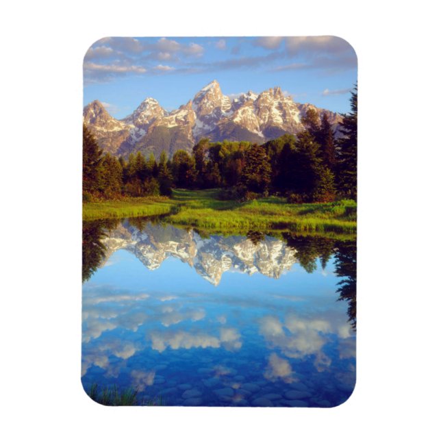 Grand Tetons reflecting in the Snake River Magnet (Vertical)