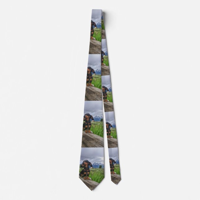 Grand Tetons Tie (Front)