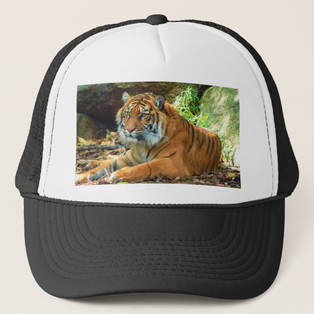 Grand Tiger Truckers Hat (Front)