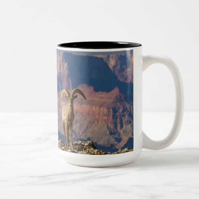 Grand View Coffee Mug (Right)