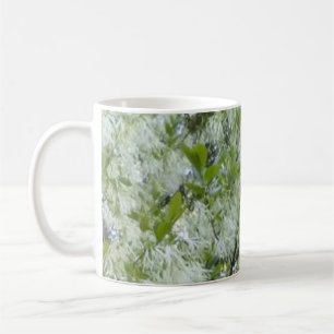 Grandaddy Graybeard Tree Mug