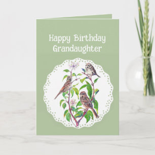 Grandaughter Birthday Song Sparrows, Cute Birds Card