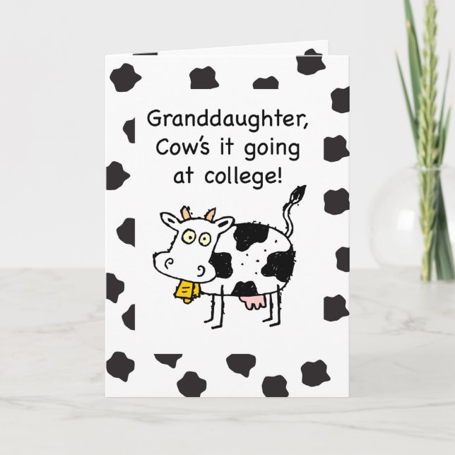 Granddaughter Away at College Thinking of You Cow Card (Front)