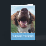 Granddaughter Birthday, Happy Dog with Big Smile Card<br><div class="desc">Celebrating a birthday is something to smile about,  and this happy dog will bring a big smile to your granddaughter's face. This adorable,  carefree pup is a brown and white spaniel who was rescued from the shelter. She now enjoys green grass,  blue skies and many happy birthdays.</div>