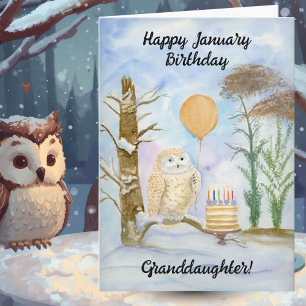 Granddaughter Happy January Birthday Owl Cake Card