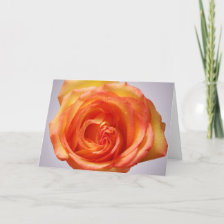 Grandiflora Rose Thank You Card