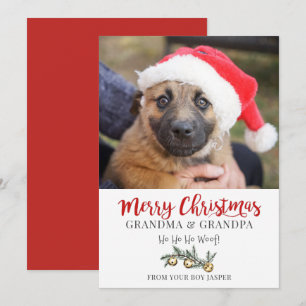 Grandma Grandpa Christmas From Dog Holiday Card
