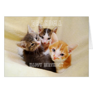 Grandma, Warm and Fuzzy Kitten Trio Happy Birthday
