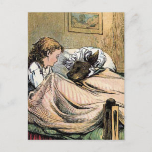 Grandma's Big Teeth Postcard