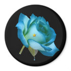 Grandma's Blue Rose. Magnet