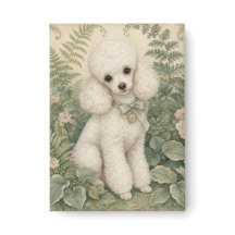 Grandma's Miniature Poodle 