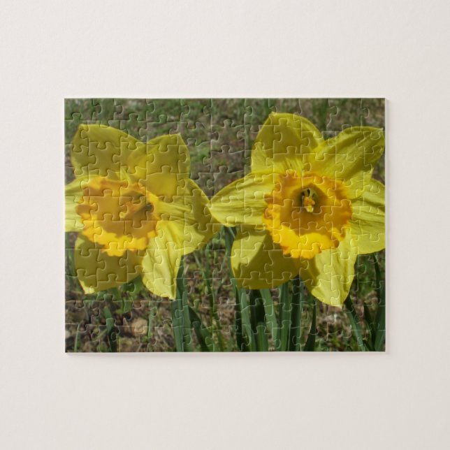 Grandmother's Easter Daffodils Puzzle (Horizontal)