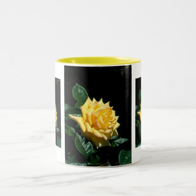 Grandpa Dickson hybrid tea rose Two-Tone Coffee Mug (Center)