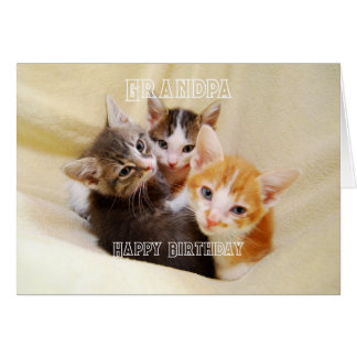 Grandpa, Warm and Fuzzy Kitten Trio Happy Birthday