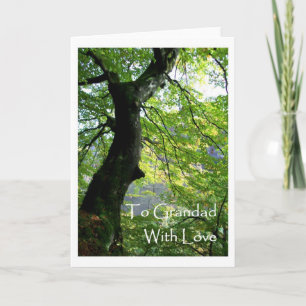 Grandparents' Day Greeting Card - for Grandfather