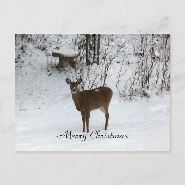 Grandparent's Merry Christmas Deer Holiday Postcard (Front)