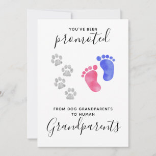 Grandparents You Been Promoted Pet Dog Pregnancy Announcement