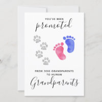 Grandparents You Been Promoted Pet Dog Pregnancy