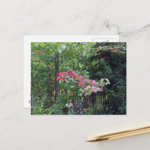 Grandprant's Pretty Autumn Leaves on Tree Postcard