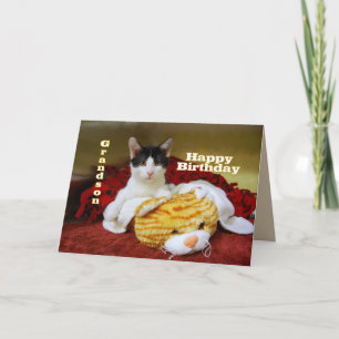 Grandson Happy Birthday Kitten with Toy Tiger Card