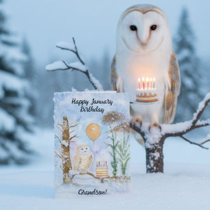 Grandson Happy January Birthday Owl Cake Card